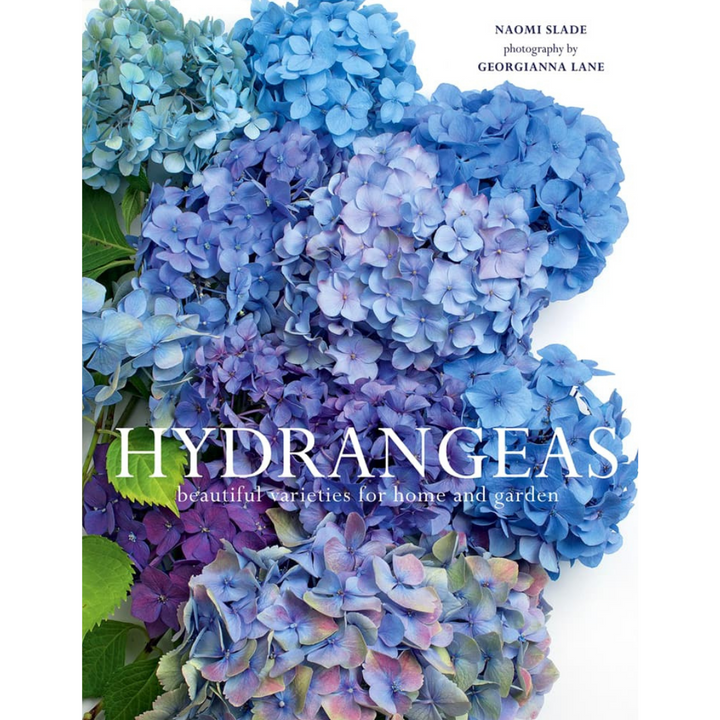 Hydrangeas