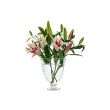 Load image into Gallery viewer, Juliska Harriet Fan Vase with pink lily flowers
