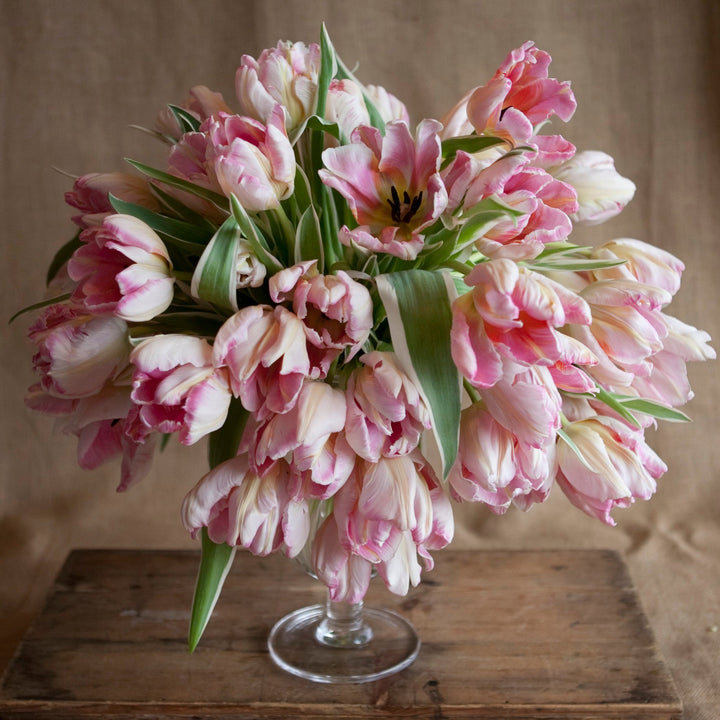 Single element arrangement Pink Tulips bouquet