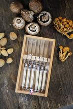 Load image into Gallery viewer, Laguiole Ivory Steak Knives in Wooden Box w/ Acrylic Lid
