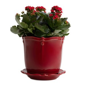 Juliska Berry & Thread Ruby Planter & Saucer