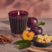 Load image into Gallery viewer, Nest Autumn Plum Classic Candle
