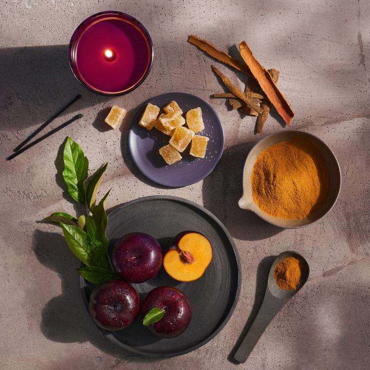 Nest Autumn Plum Classic Candle