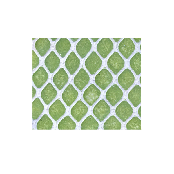 Terrafirma Fruit Dessert Bowl