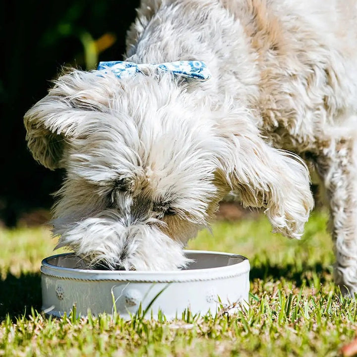 Juliska Berry & Thread Whitewash Dog Bowl, Medium