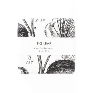Fig Leaf Bath Fizzy