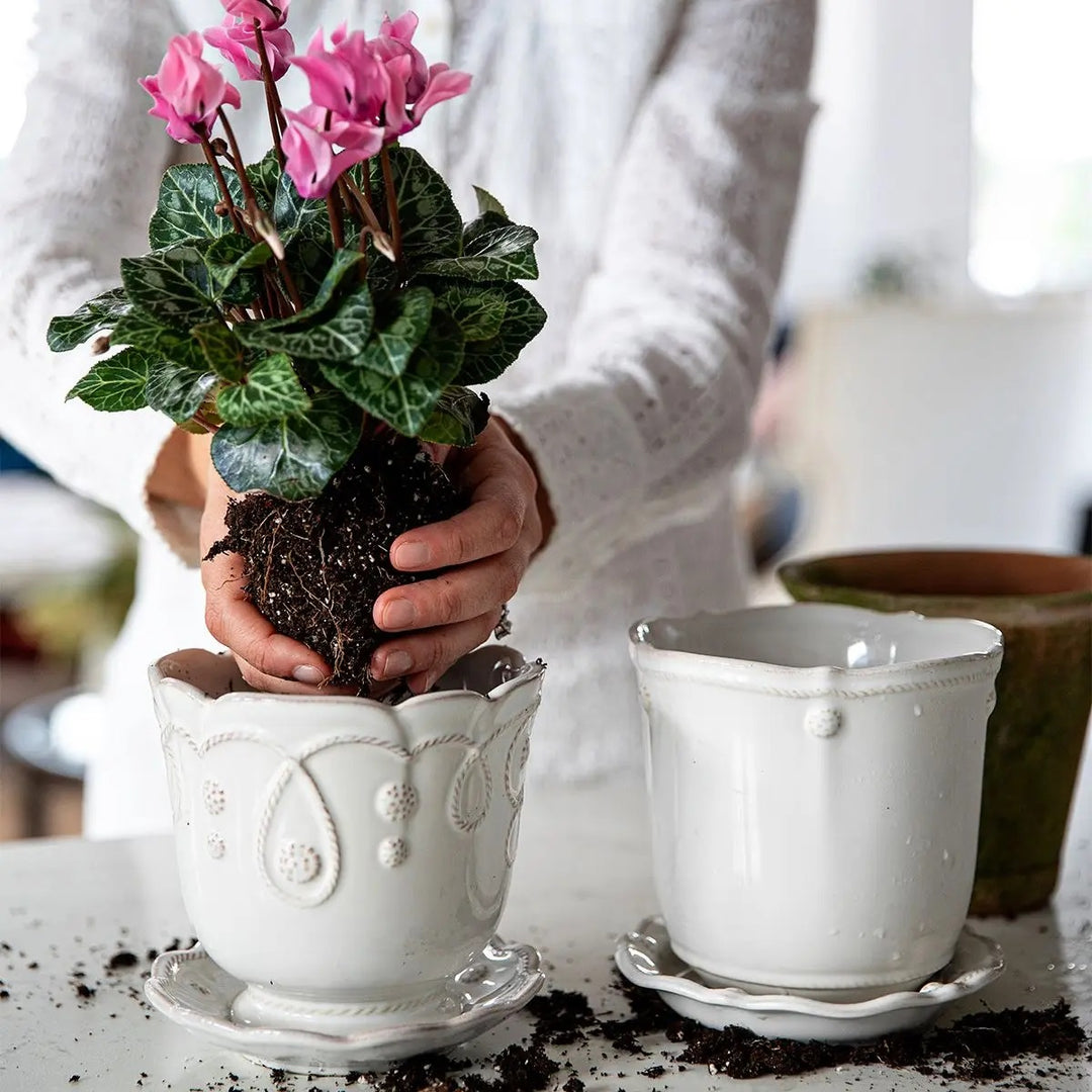 Juliska Berry & Thread Whitewash Planter potted plant with pink flower